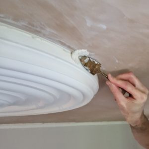 Ceiling Rose Fixing Kit